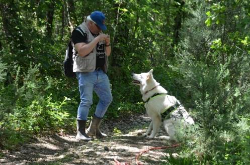 Une image contenant arbre, extrieur, chien, homme

Description gnre automatiquement